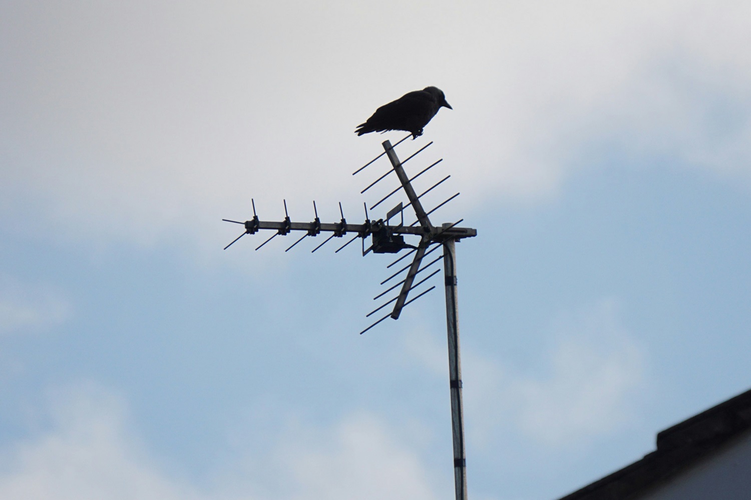 Antenna TV’s chaos era